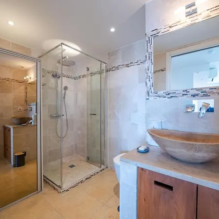 Cocoon Design Sea View And Pool 昂蒂布